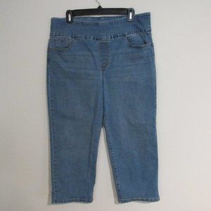 Capri Pants, Gloria Vanderbilt All Around Slimming Effect, size 16